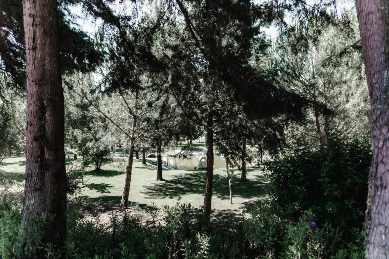 בית הארחה Quinta Do Cerrado שטובל מראה חיצוני תמונה